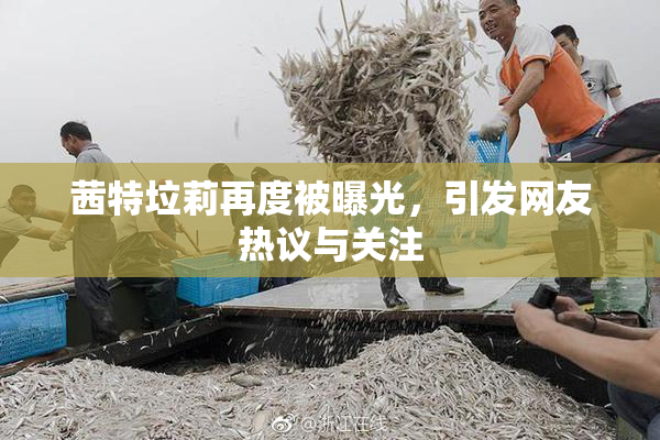 茜特垃莉再度被曝光，引发网友热议与关注