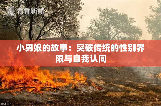 小男娘的故事：突破传统的性别界限与自我认同