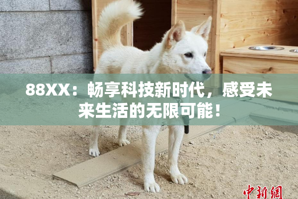 88XX：畅享科技新时代，感受未来生活的无限可能！