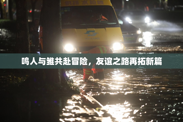 鸣人与雏共赴冒险，友谊之路再拓新篇
