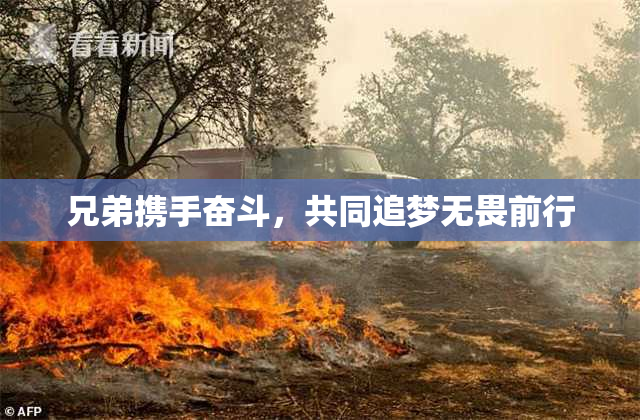 兄弟携手奋斗，共同追梦无畏前行