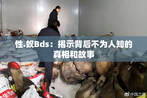 性.奴Bds：揭示背后不为人知的真相和故事