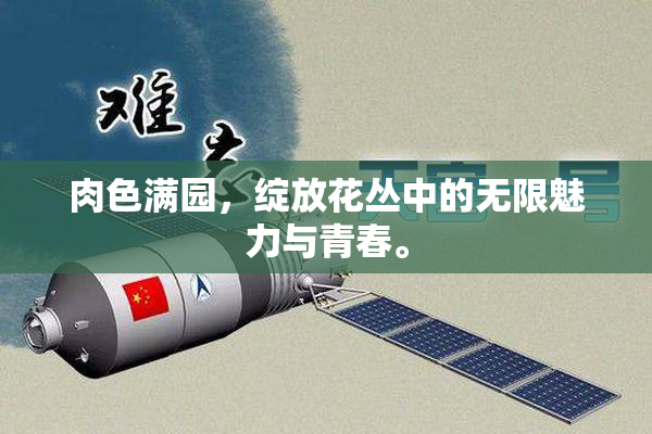 肉色满园，绽放花丛中的无限魅力与青春。