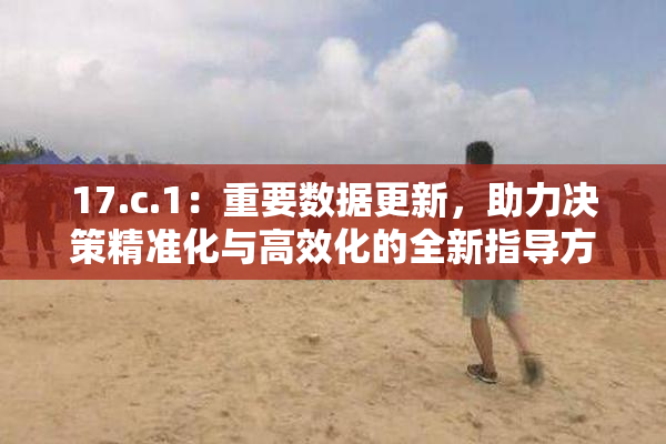 17.c.1：重要数据更新，助力决策精准化与高效化的全新指导方案出台