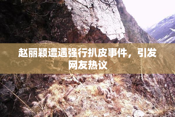 赵丽颖遭遇强行扒皮事件，引发网友热议