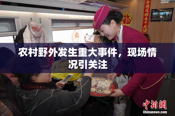 农村野外发生重大事件，现场情况引关注