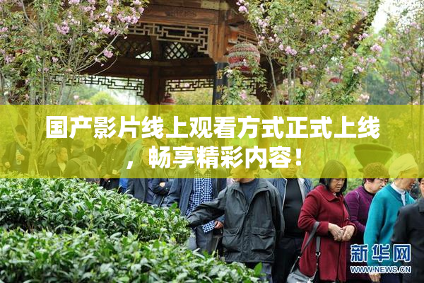 国产影片线上观看方式正式上线，畅享精彩内容！