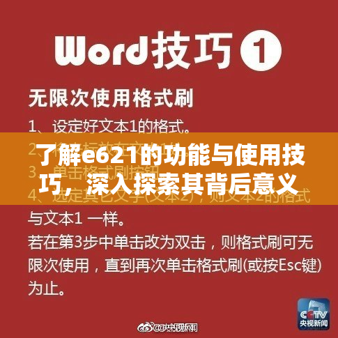 了解e621的功能与使用技巧，深入探索其背后意义