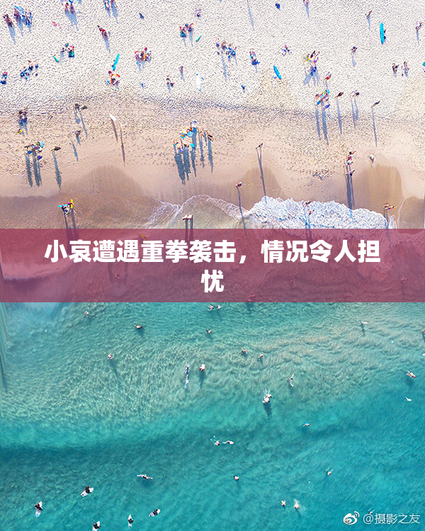 小哀遭遇重拳袭击，情况令人担忧