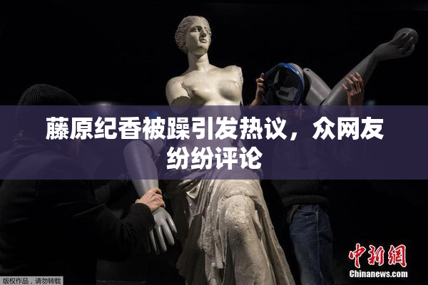 藤原纪香被躁引发热议，众网友纷纷评论