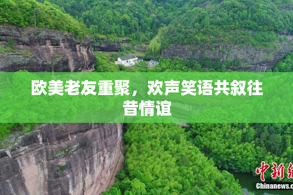 欧美老友重聚，欢声笑语共叙往昔情谊