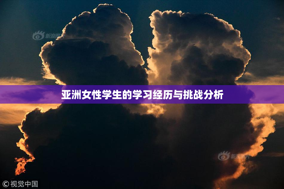 亚洲女性学生的学习经历与挑战分析
