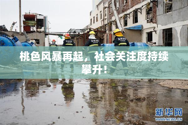 桃色风暴再起，社会关注度持续攀升！
