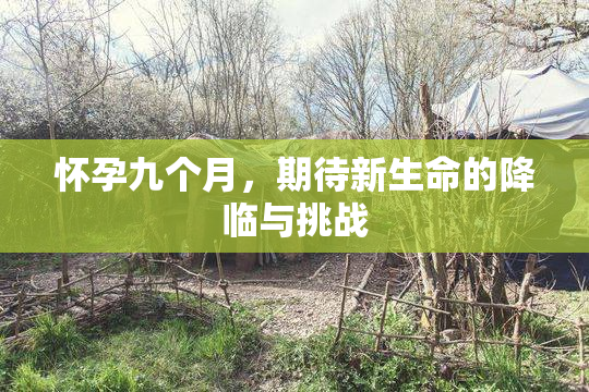 怀孕九个月，期待新生命的降临与挑战