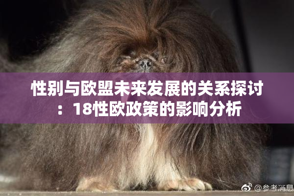 性别与欧盟未来发展的关系探讨：18性欧政策的影响分析