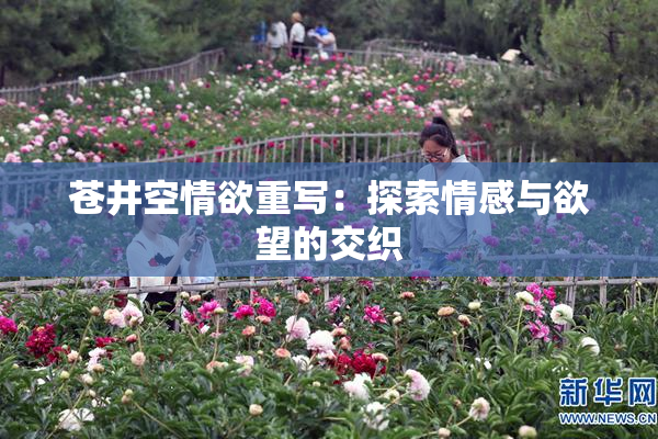 苍井空情欲重写：探索情感与欲望的交织