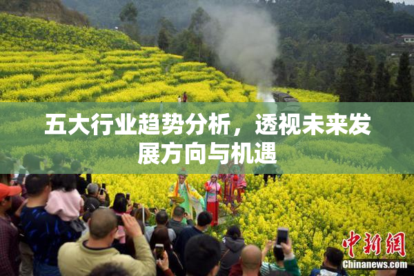 五大行业趋势分析，透视未来发展方向与机遇