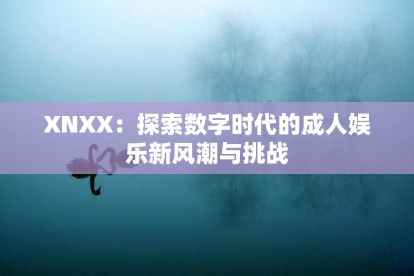 XNXX：探索数字时代的成人娱乐新风潮与挑战