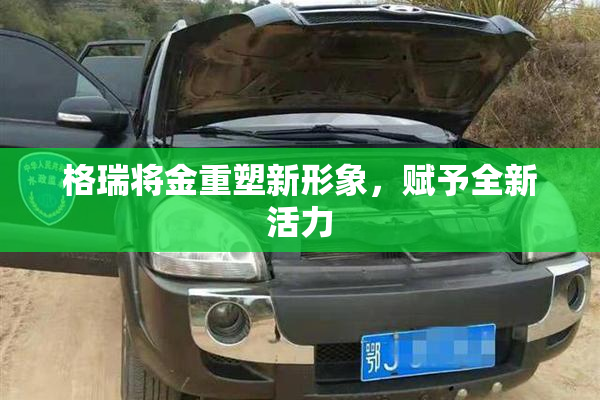 格瑞将金重塑新形象，赋予全新活力
