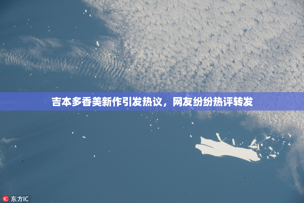 吉本多香美新作引发热议，网友纷纷热评转发