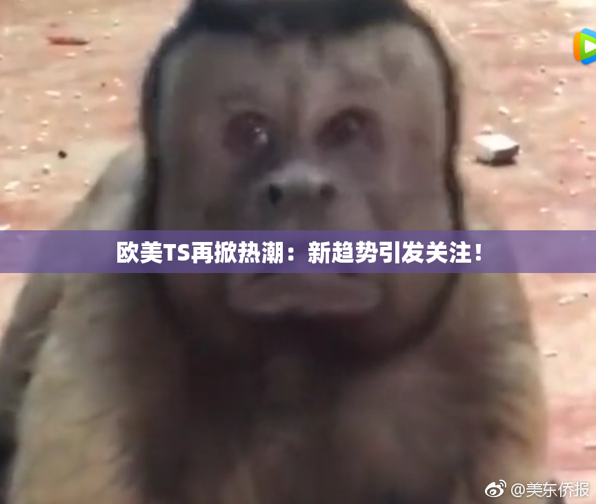 欧美TS再掀热潮：新趋势引发关注！