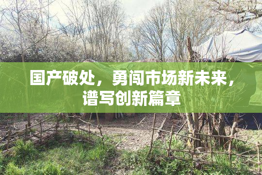 国产破处，勇闯市场新未来，谱写创新篇章