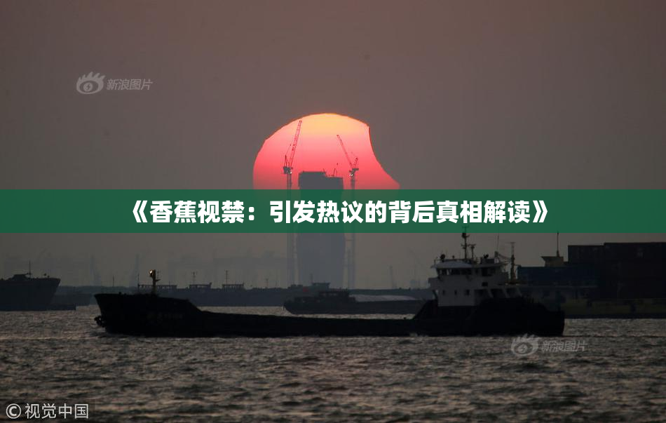 《香蕉视禁：引发热议的背后真相解读》