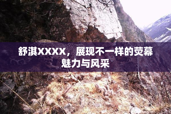 舒淇XXXX，展现不一样的荧幕魅力与风采