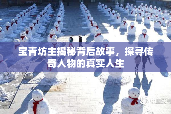 宝青坊主揭秘背后故事，探寻传奇人物的真实人生