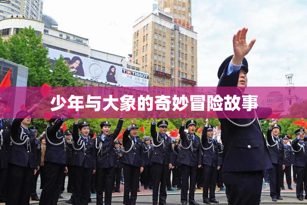 少年与大象的奇妙冒险故事