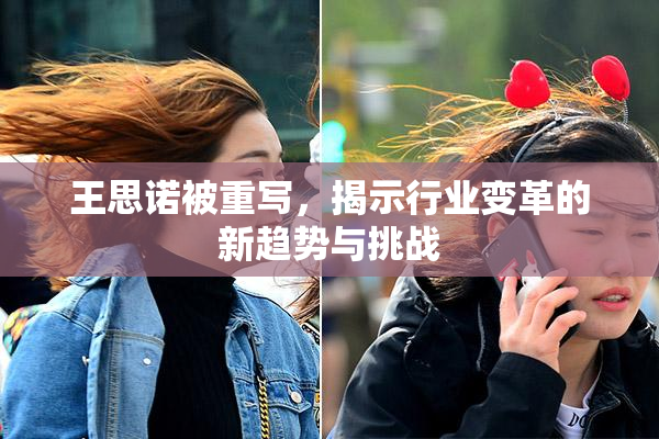 王思诺被重写，揭示行业变革的新趋势与挑战