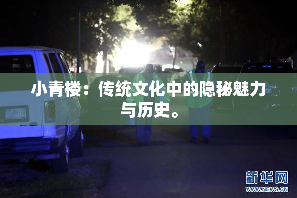 小青楼：传统文化中的隐秘魅力与历史。