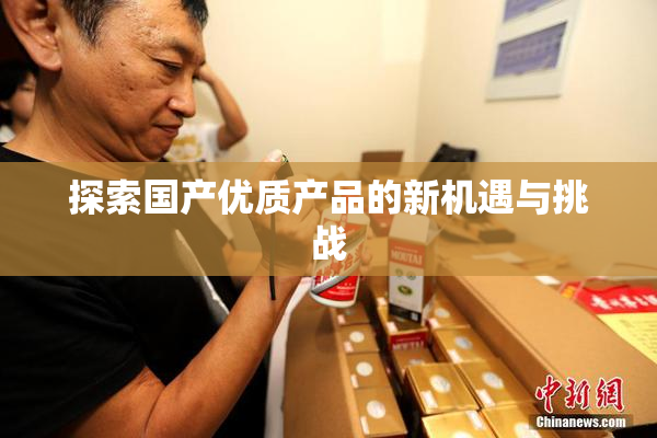 探索国产优质产品的新机遇与挑战