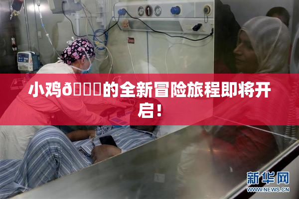 小鸡🐔的全新冒险旅程即将开启！