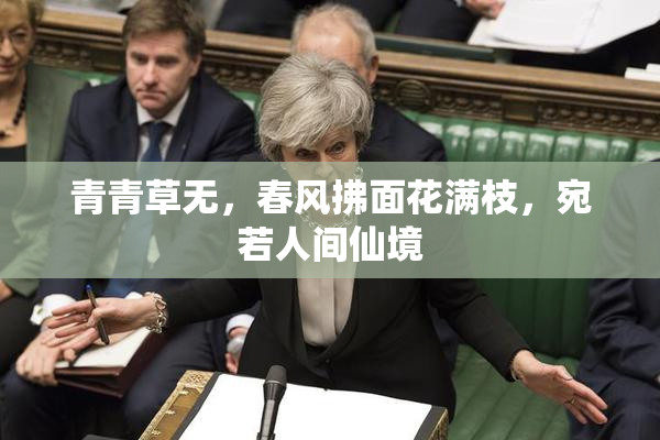 青青草无，春风拂面花满枝，宛若人间仙境
