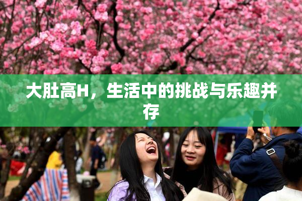 大肚高H，生活中的挑战与乐趣并存