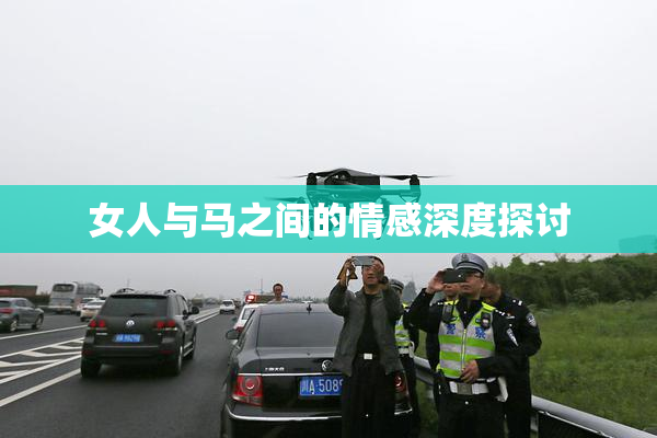 女人与马之间的情感深度探讨