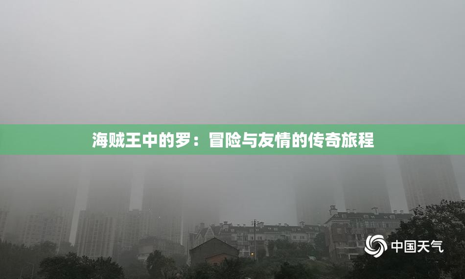 海贼王中的罗：冒险与友情的传奇旅程