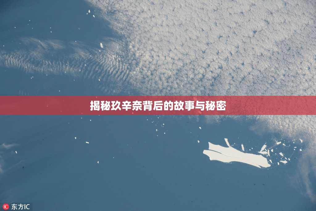 揭秘玖辛奈背后的故事与秘密