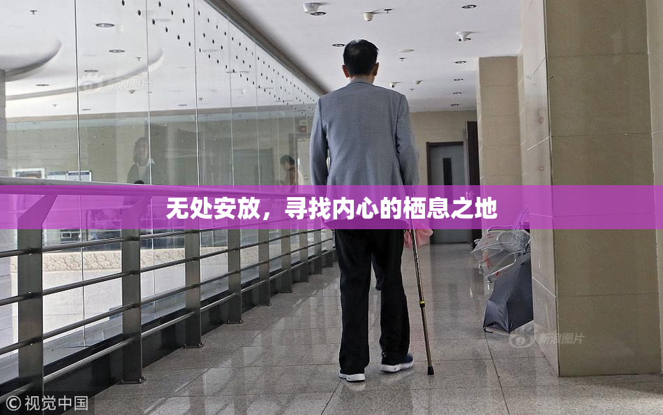 无处安放，寻找内心的栖息之地