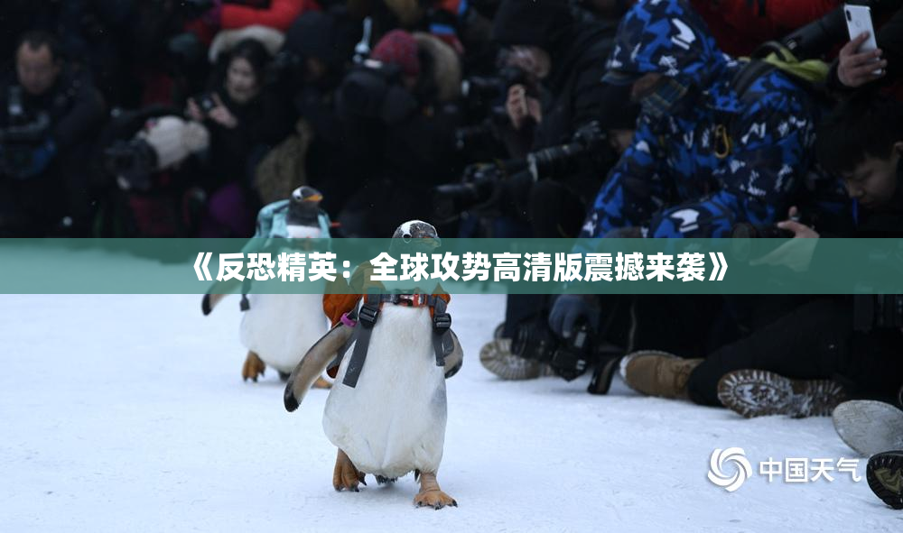 《反恐精英：全球攻势高清版震撼来袭》