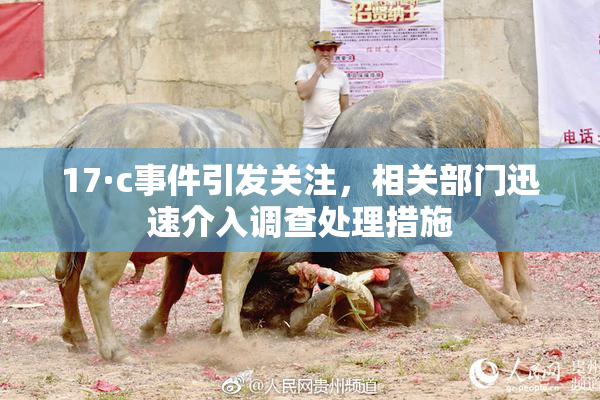 17·c事件引发关注，相关部门迅速介入调查处理措施