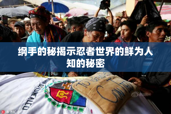 纲手的秘揭示忍者世界的鲜为人知的秘密