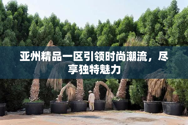 亚州精品一区引领时尚潮流，尽享独特魅力