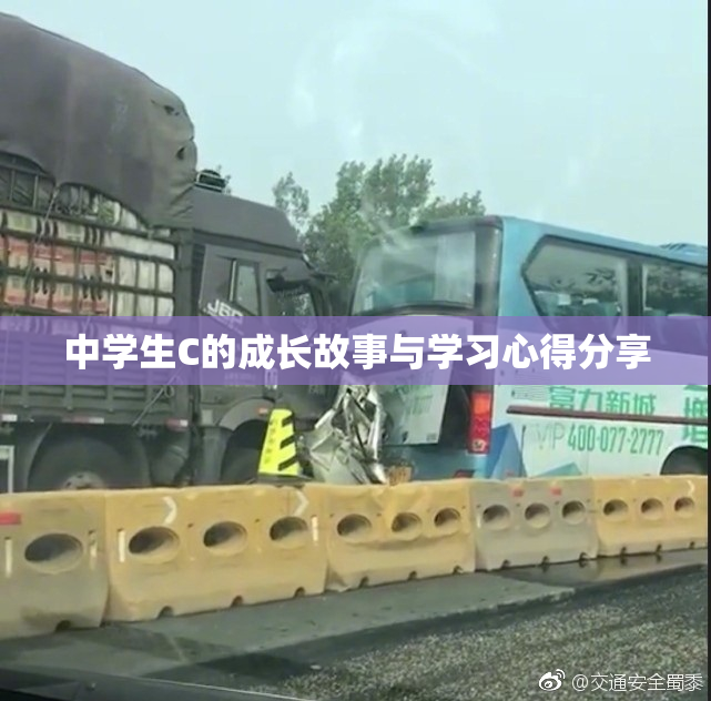 中学生C的成长故事与学习心得分享