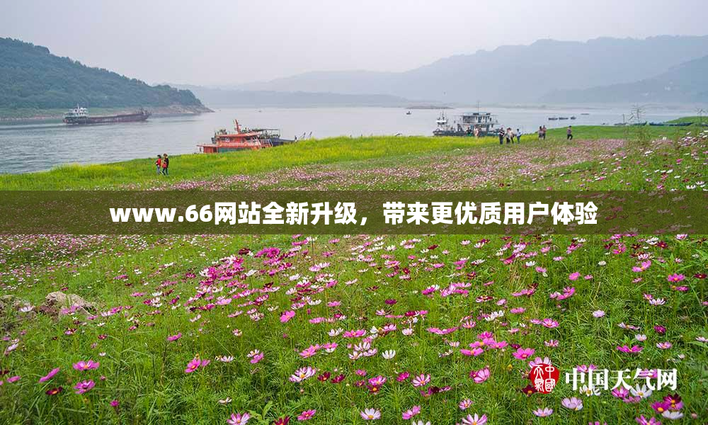 www.66网站全新升级，带来更优质用户体验