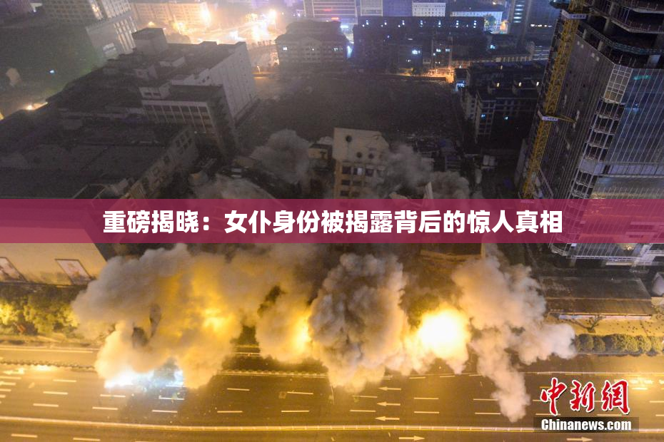 重磅揭晓：女仆身份被揭露背后的惊人真相
