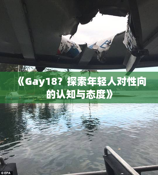 《Gay18？探索年轻人对性向的认知与态度》