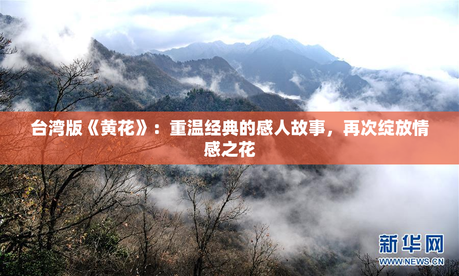 台湾版《黄花》：重温经典的感人故事，再次绽放情感之花