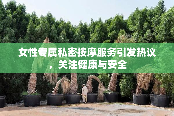 女性专属私密按摩服务引发热议，关注健康与安全
